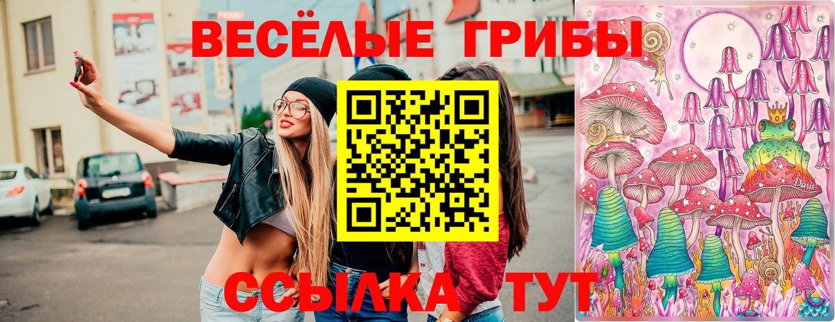 Кстово  Галлюциногенные грибы Psilocybe  даркнет сайт  Вход с VPN  Псилоцибиновые грибы прущие грибы 