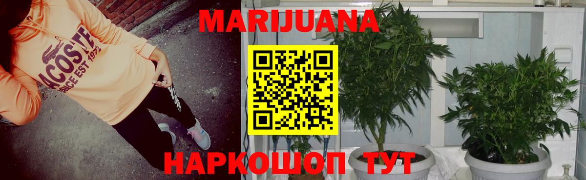 Каннабис Amnesia Кстово